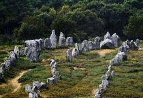 Kermario prehistoric alignments. Carnac, Brittany von David Lyons