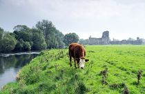 Athassel on the River Suir. Tipperary, Ireland von David Lyons