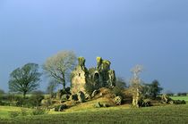 Craigie Castle. Kilmarnock, Scotland von David Lyons