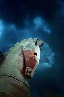 Trojan Horse. Anatolia, Turkey by David Lyons