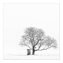 Der Baum von foto-m-design