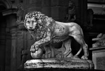 The Lion of the Piazza della Signoria, Florence. B&W by David Lyons