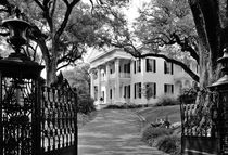 Stanton Hall plantation house, Mississippi by David Lyons