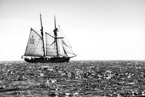 Swedish training schooner Falken. Baltic Sea #3. B&W by David Lyons