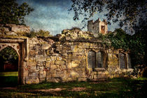 Inner Walls Of Wallingford Castle von Ian Lewis