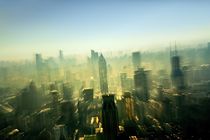 Metropolis Shanghai  von David Lyons