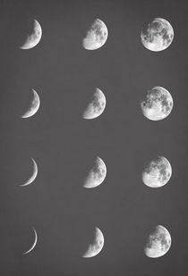 Lunar phases by zapista