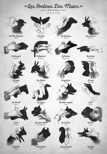 Hand Shadows von zapista