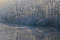 Wintermorgen by Bernhard Kaiser