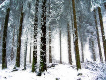 Winterwonderland by casselfornia-art