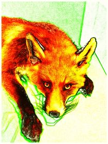 Foxen by kappelnation