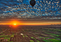 Hot Air Balloon at Sunrise in Luxor Egypt von Andy Doyle