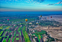 Hot Air Balloon at Sunrise in Luxor Egypt by Andy Doyle