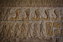 Hieroglyphics at Valley of the Kings by Andy Doyle