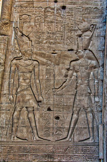 Hieroglyphics at Temple of Horus at Edfu by Andy Doyle