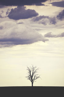 Standing against the Storm von Karen Black