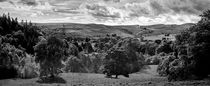 Northumbria Panorama by Colin Metcalf