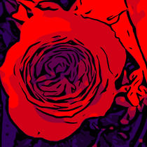 Red Rose 3 von Robert H. Biedermann