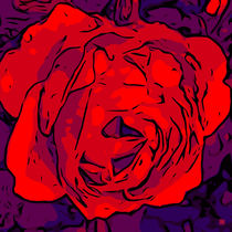 Blumen Poster Red Rose - welikeFlowers von Robert H. Biedermann