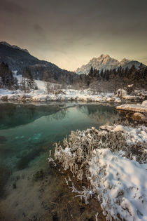 Green beauty von Bor Rojnik