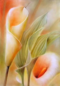 Callas by Annette Schmucker