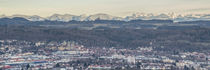 Weingarten mit Alpenblick by Thomas Keller