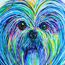 Shih Tzu Intense Colors by eloiseart