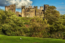 The Battlements of Caerphilly von Ian Lewis