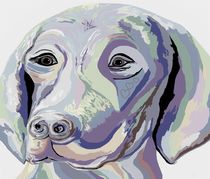 Weimaraner Denim Colors by eloiseart