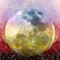 MOON under MAGIC SKY III-1 von Pia Schneider