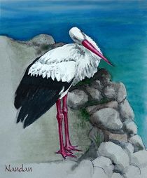 White Stork von Nandan Nagwekar