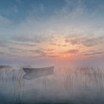 Morgennebel by Andreas Hoops