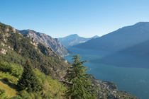 Gardasee am Morgen von m-pictures