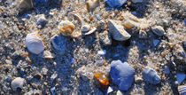 Strand von Föhr von Heinz Munk