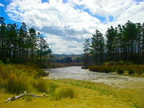 River in the nature von Martin Weber