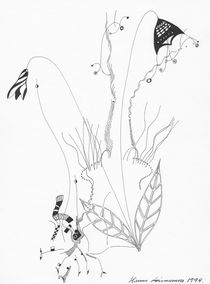 Campanulaceae by Hannu Loimuneva