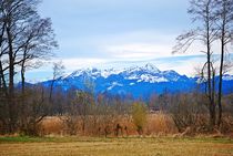 am Simssee... von loewenherz-artwork