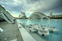 Valencia Rowing Boats  by Rob Hawkins