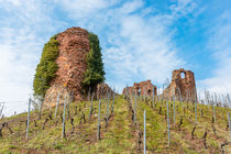 Burg Gutenburg 63 by Erhard Hess