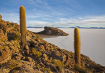 Abenteuer Altiplano von Stefan Schütter