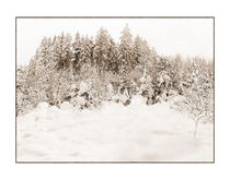 Winter 6 von Theo Broere