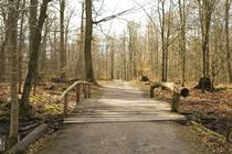 Waldwanderweg mit Brücke. by fischbeck