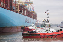 Containerschiff beim Anlegen - Hafen Hamburg von gini-art
