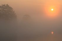 Sonnenaufgang im Nebel by Bernhard Kaiser