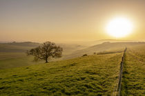 Misty South Downs Way von Malc McHugh