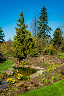 Portrait of a Garden by Colin Metcalf