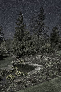 Moonlit Garden by Colin Metcalf