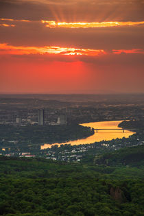 Sonnenuntergang  bei Bonn von Frank Landsberg