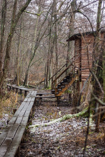 Ansitzhütte mit Holzsteg von Thomas Schwarz