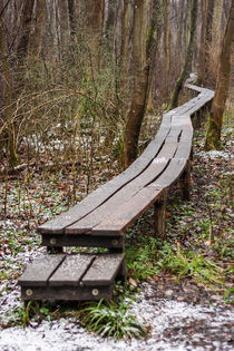 Holzsteg im Moor von Thomas Schwarz